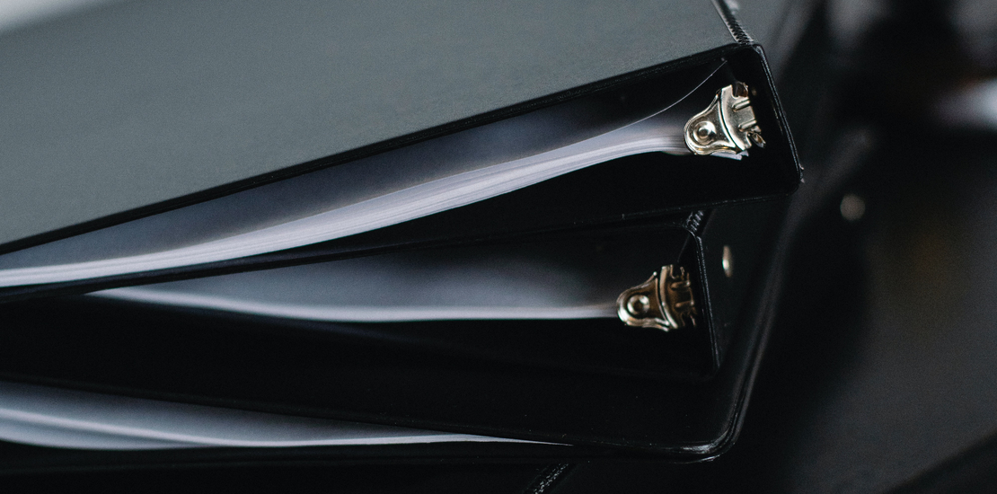 GLOBAL INNOVATORS PARTNERS