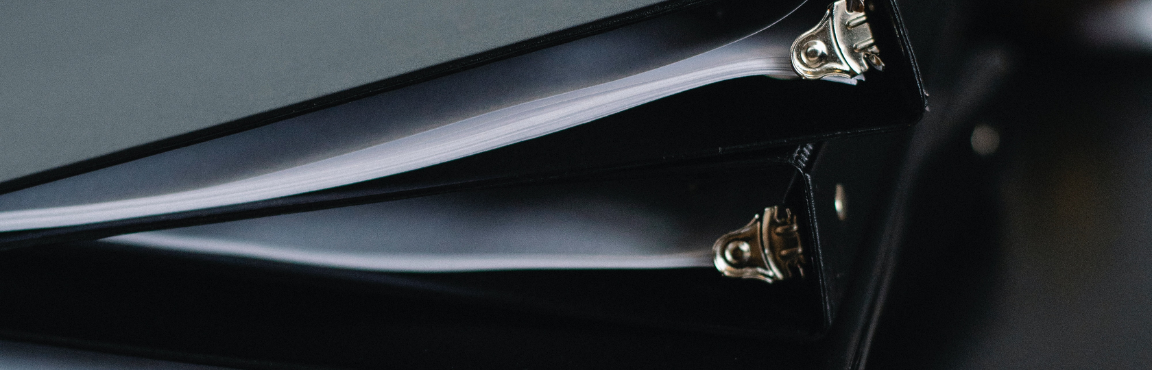 GLOBAL INNOVATORS PARTNERS