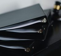 GLOBAL INNOVATORS PARTNERS