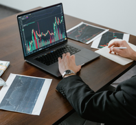 GLOBAL INNOVATORS PARTNERS