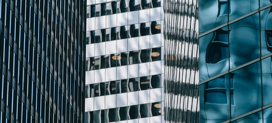 GLOBAL INNOVATORS PARTNERS