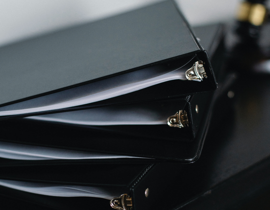 GLOBAL INNOVATORS PARTNERS