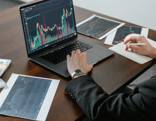 GLOBAL INNOVATORS PARTNERS