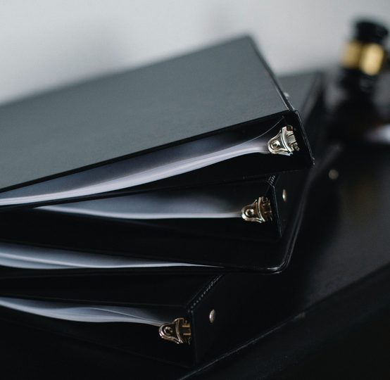 GLOBAL INNOVATORS PARTNERS