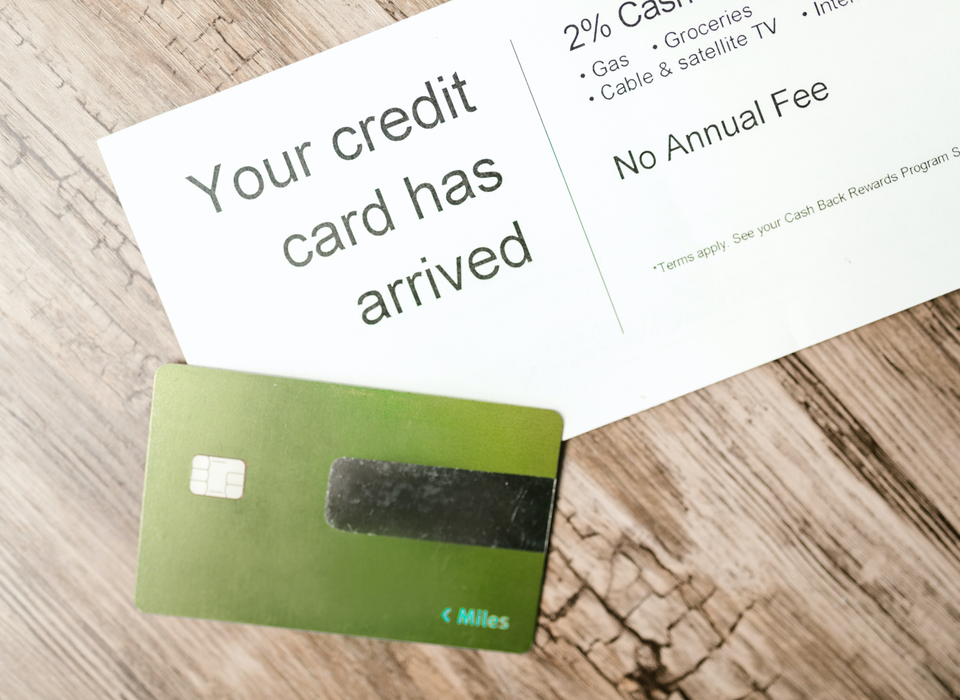 GLOBAL INNOVATORS PARTNERS